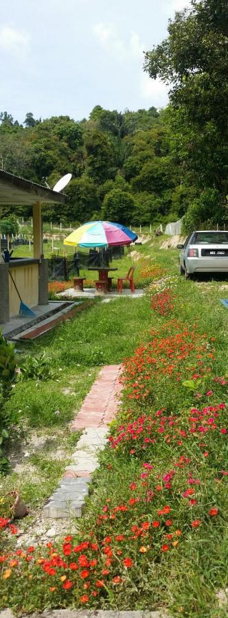 Kuntum Cottage Bed & Breakfast Kampung Tanjung Ipoh Exterior foto