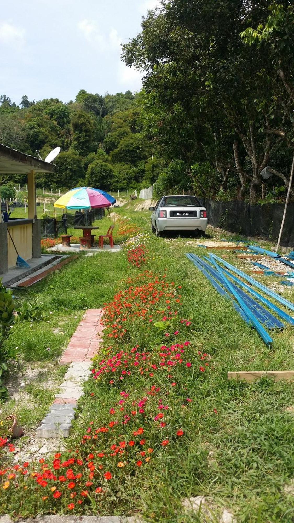 Kuntum Cottage Bed & Breakfast Kampung Tanjung Ipoh Exterior foto
